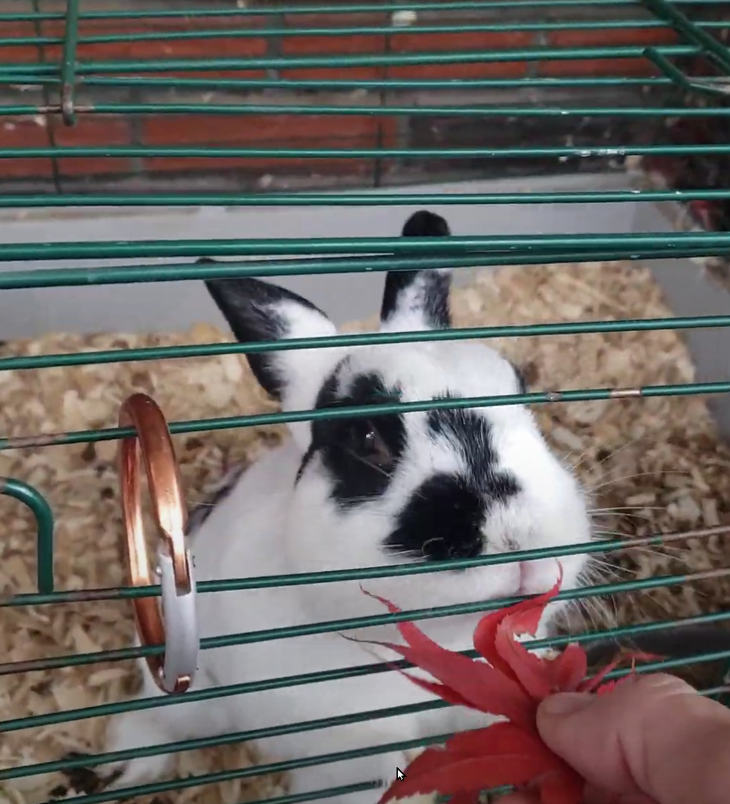 20240819-202549816-943c-f4ea31497838_2024_08_19 16_24_58_Video _ Google Photos.png